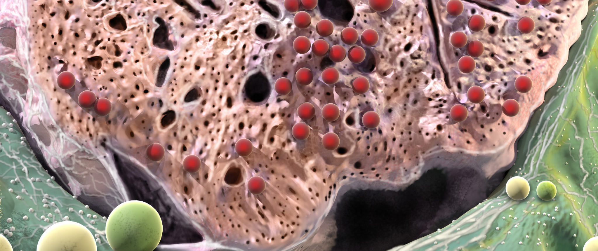 diagnosing pei banner